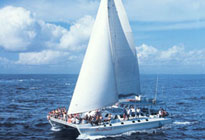 bali-hai-cruises-aristocat