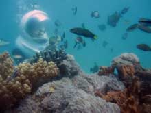 bali-sea-walker