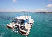 bali-sea-walker2