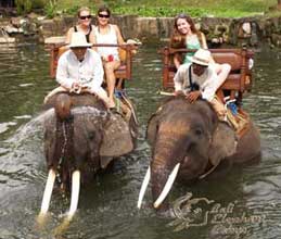 elephant-ride