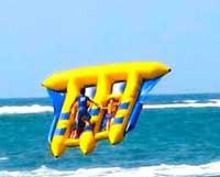 flying-fish
