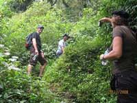 jungle-trekking