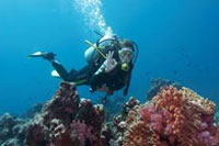 diving