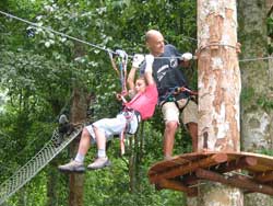 treetop-1