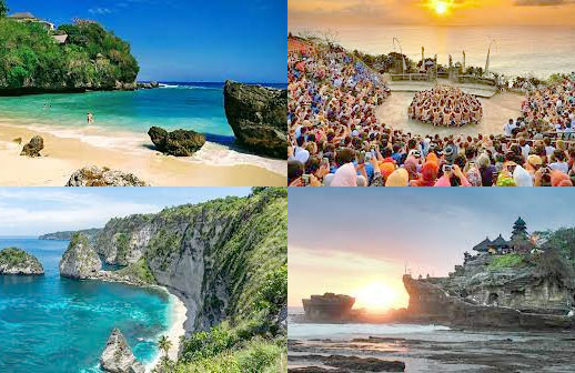 Halfday Bali AMAZING 1